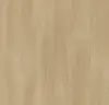 254783_8443P43C