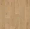 227668_8483T4315