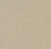 257098_90753T4315